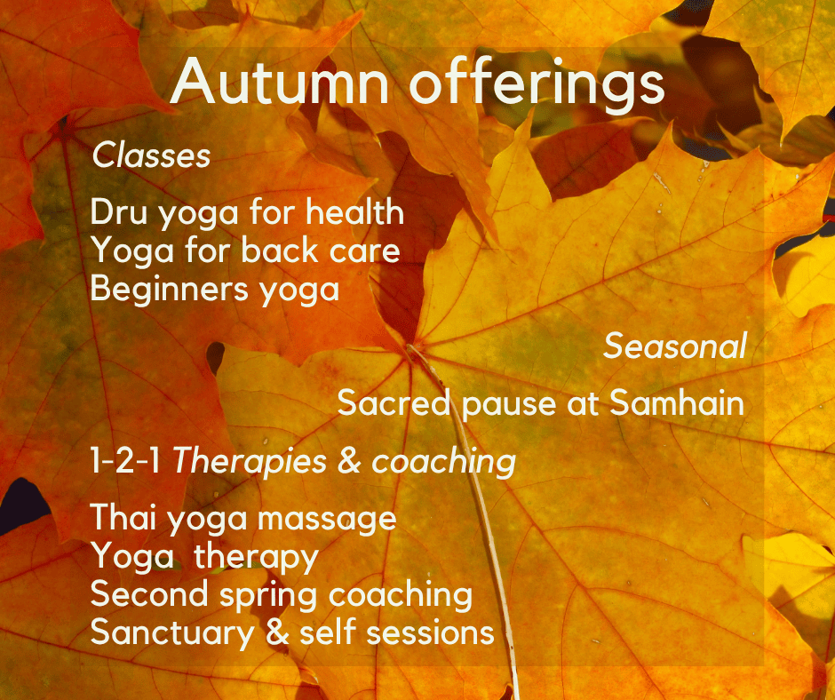 Autumn offerings 2026